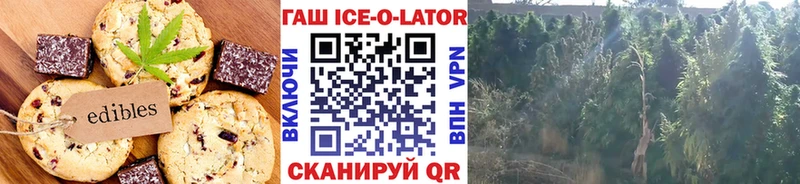 ссылка на мегу как зайти  Малаховка  Еда ТГК марихуана 