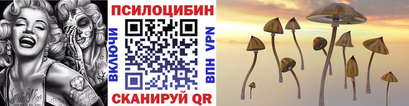Псилоцибиновые грибы Psilocybine cubensis где продают наркотики Малаховка