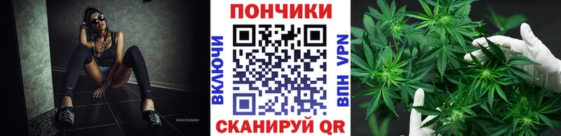Бошки Шишки SATIVA & INDICA  MEGA маркетплейс  Малаховка 